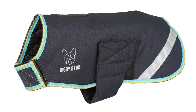 Digby and Fox XL Waterproof Dog Coat in Grey