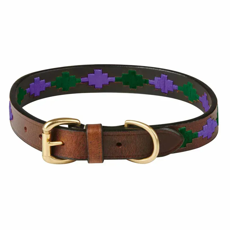 WeatherBeeta Polo Leather Dog Collar in Beaufort Brown/Purple/Teal