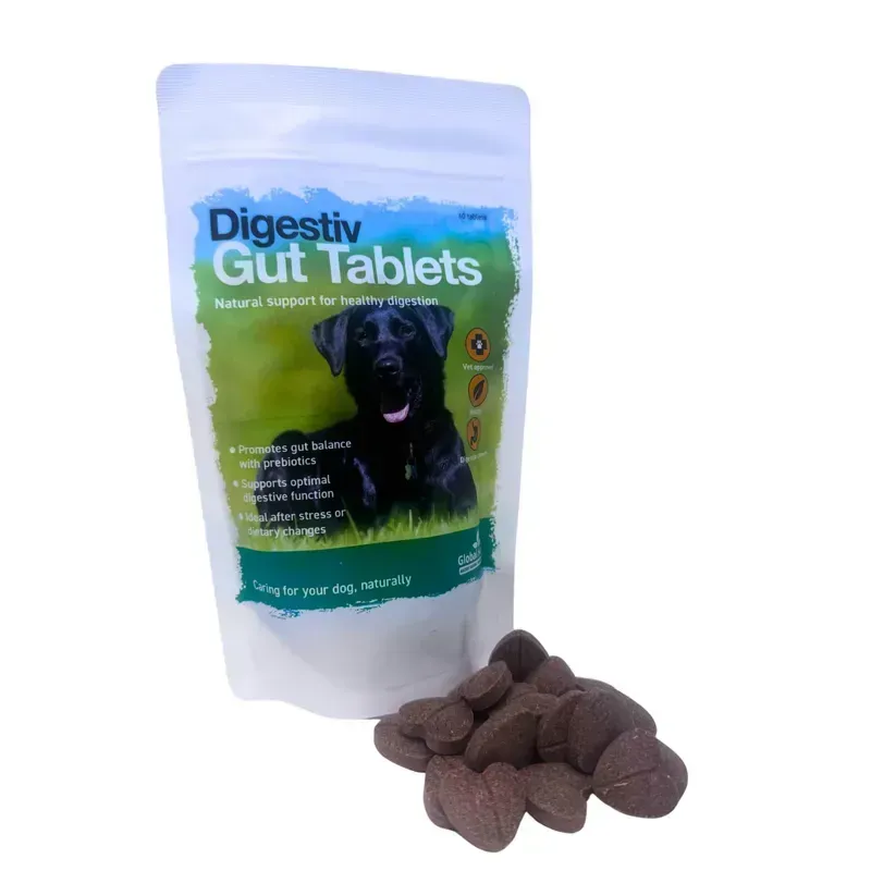 Global Herbs 60 Canine Digestiv Gut Tablets in Green